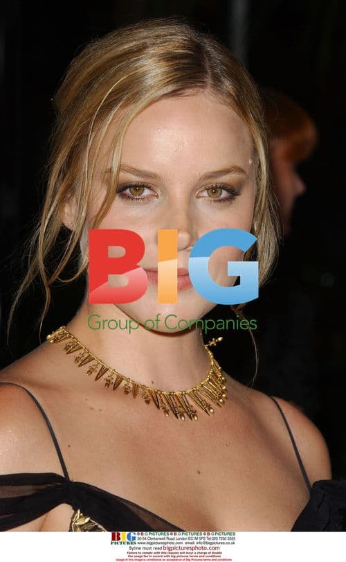 Abbie Cornish at "Elizabeth: The Golden Age" Premiere