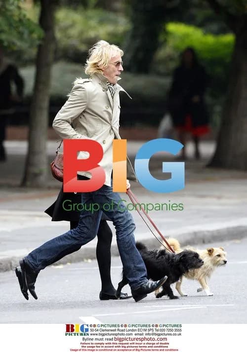 Sienna Miller and Rhys Ifans stroll with dogs