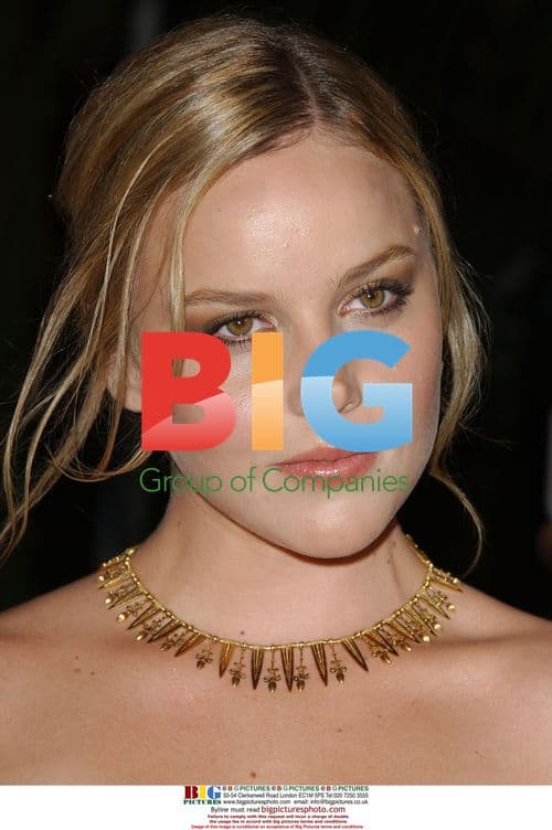 Abbie Cornish at 'Elizabeth: The Golden Age' Premiere