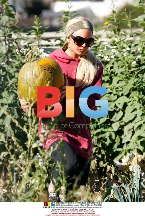 Lindsay Lohan's Pumpkin Therapy