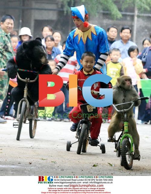 Animal Sports Meet at Jinan Zoo