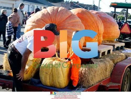 Participants Discuss Square Pumpkin