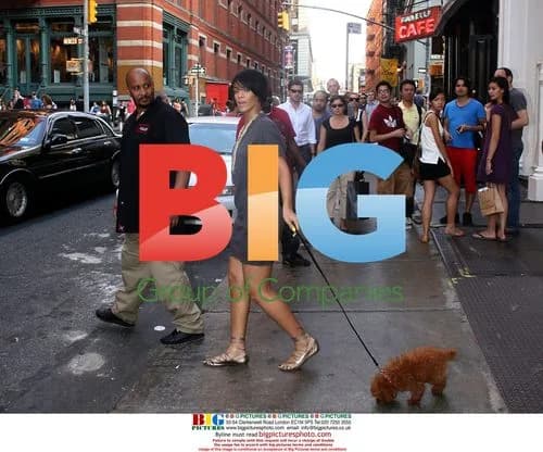 Rihanna Shops with Dog in Soho