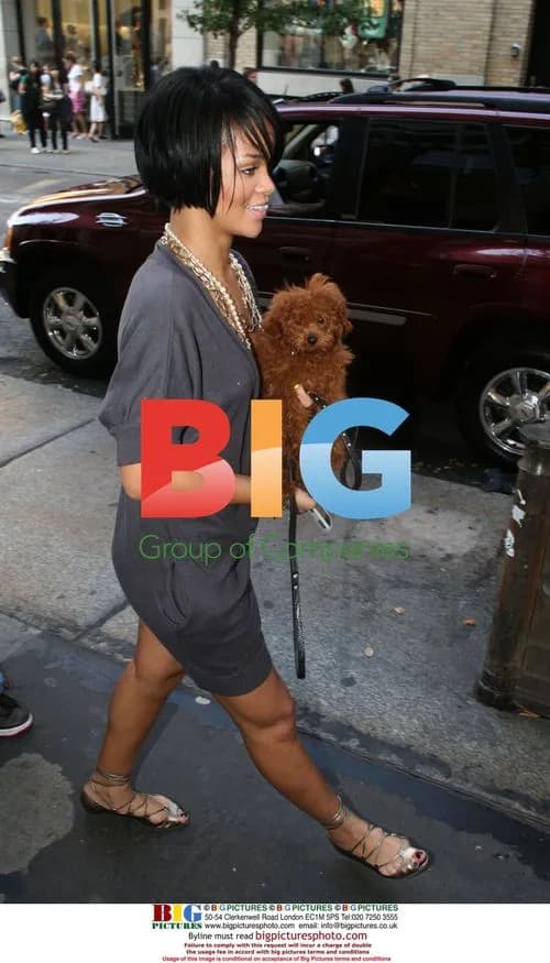 Rihanna Shopping with Dog in Soho
