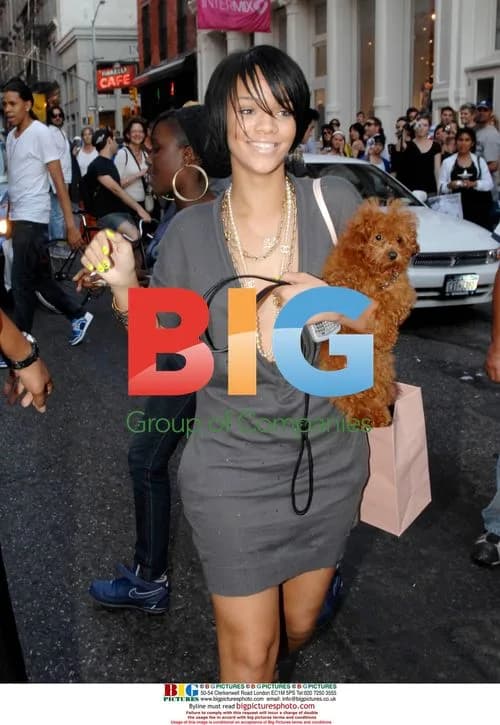 Rihanna Shopping in Soho with Dog
