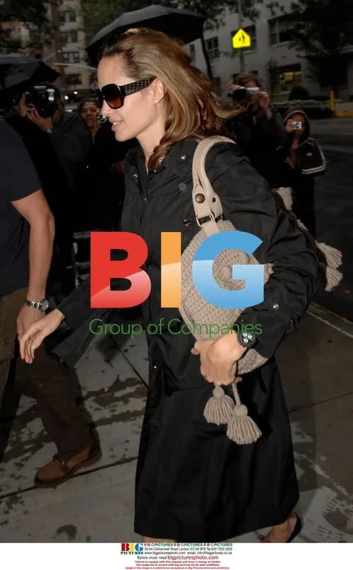 Angelina Jolie Picks Up Maddox at School