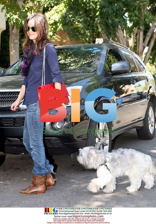 Rachel Bilson Takes Dog for Walk in LA