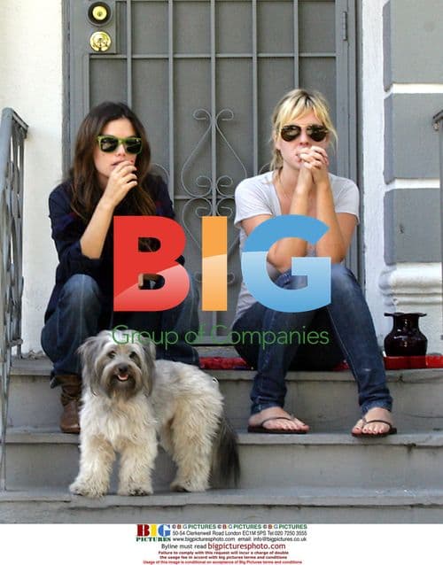 Rachel Bilson Takes Dog for Walk in LA