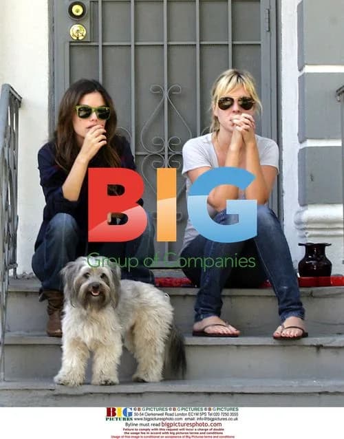 Rachel Bilson Takes Dog for Walk in LA