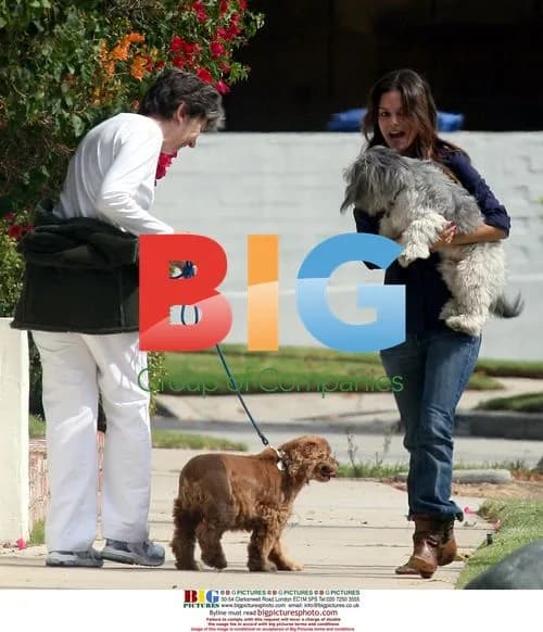 Rachel Bilson walks dog in LA