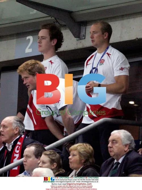 Prince Harry celebrating England's rugby win