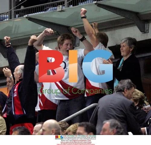 Prince Harry at Rugby World Cup