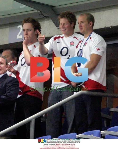 Prince Harry Celebrates Rugby World Cup Win