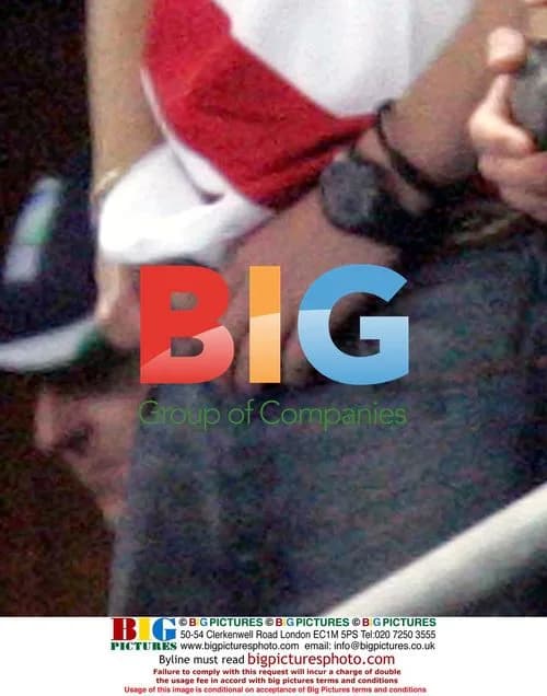Prince Harry at Rugby World Cup Semi-Final
