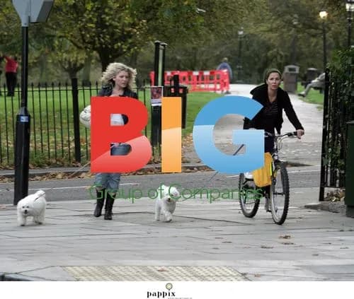 Sadie Frost Bike Ride with Dog