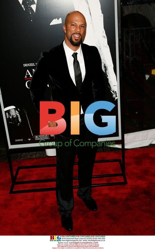 Celebs at 'American Gangster' Premiere