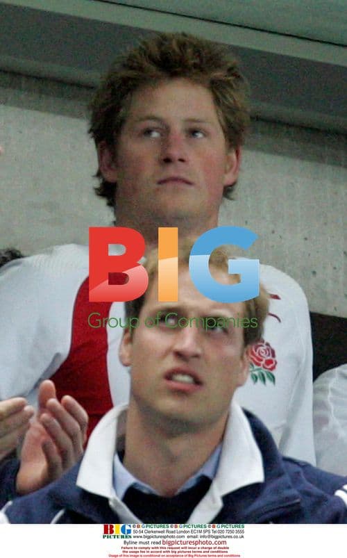 Princes William and Harry at Rugby World Cup Final