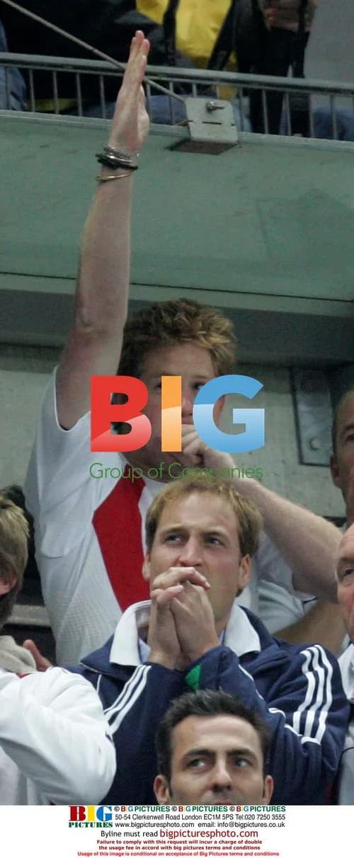 Prince William and Prince Harry at 2007 Rugby World Cup Final