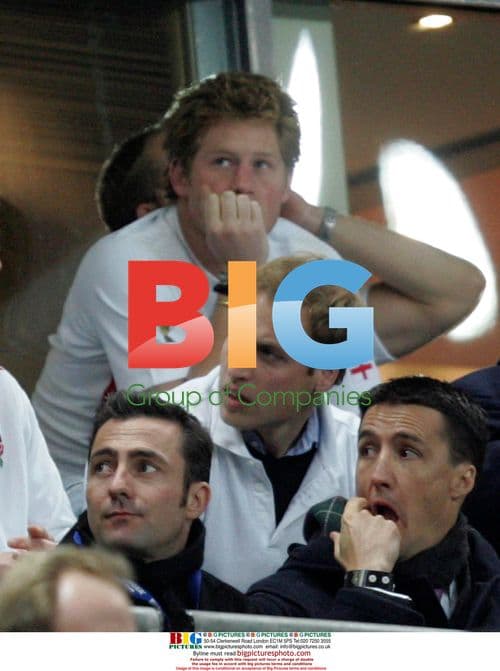 Princes William and Harry at Rugby World Cup Final