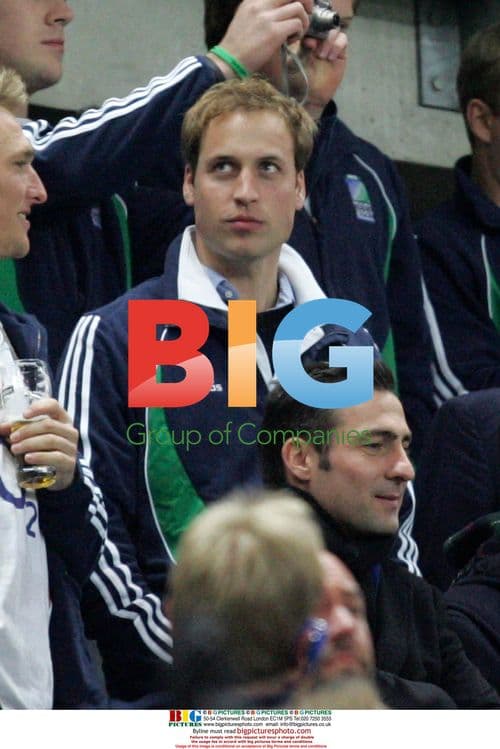 Prince William and Harry at 2007 Rugby World Cup Final
