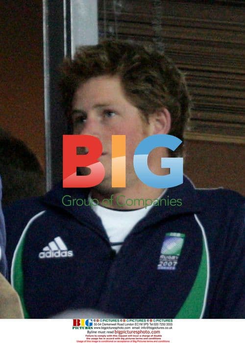 Princes William and Harry at Rugby World Cup Final