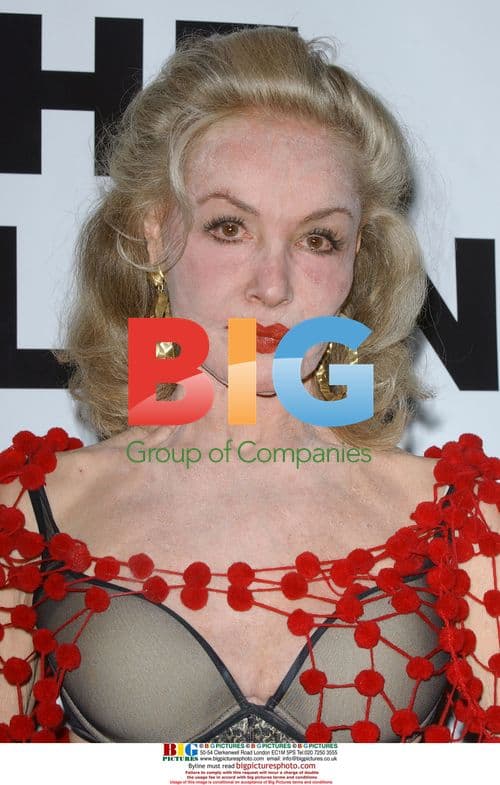 Julie Newmar at The Thalians Gala