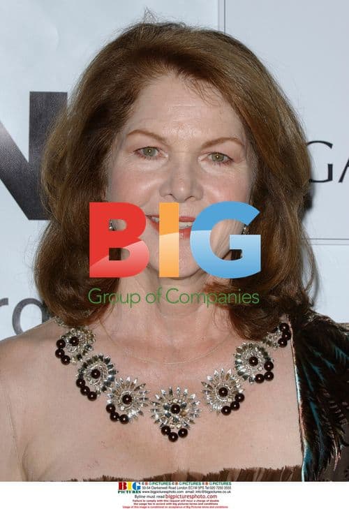 Lois Chiles at The Thalians 52nd Gala