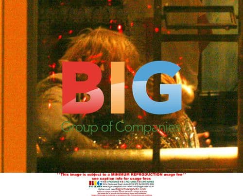 Sienna Miller and Rhys Ifans on night out in Ireland