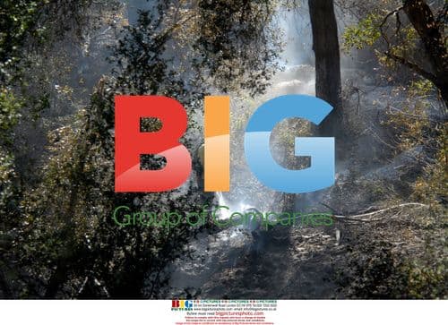 Firefighter works after Harris Fire