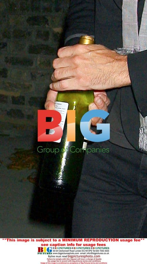 Kate Moss Parties with Friends