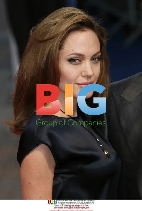 Brad Pitt and Angelina Jolie at Deauville Film Festival