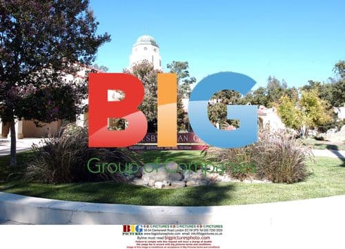 Kate Walsh and Alex Young's Wedding