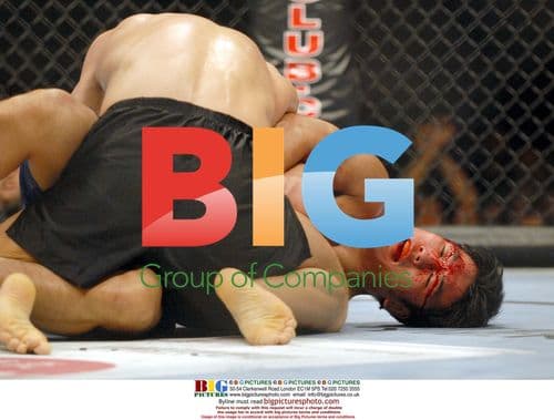 Bloody UFC 75 Fight at O2 Arena