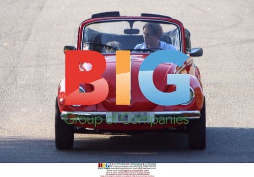 Ziggy and Dog Molly at Park