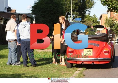 Big Brother Star Ziggy Out With Dog Molly