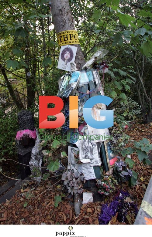 Tribute to T. Rex's Marc Bolan