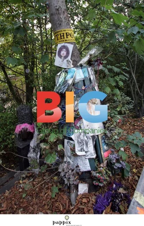Tribute to T. Rex's Marc Bolan