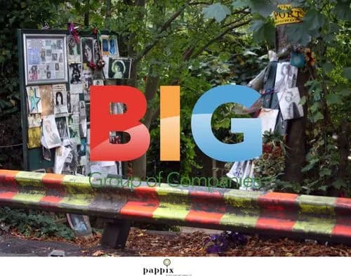 Roadside Tribute to Marc Bolan