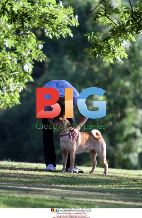 Big Brother's Ziggy Takes Dog for Drive