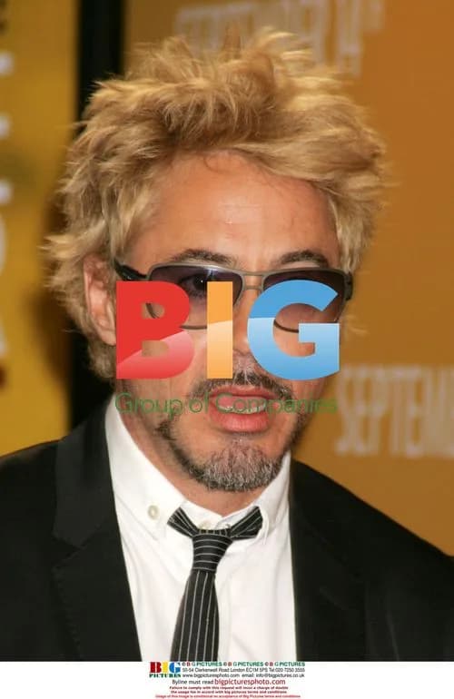 Robert Downey Jr at 'The Brave One' Premiere