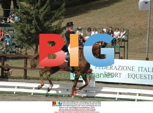 Zara Phillips at Horse Riding European Championship