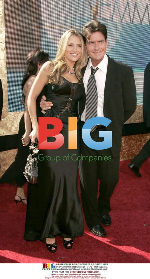 Charlie Sheen and Brooke Mueller at 59th Emmys