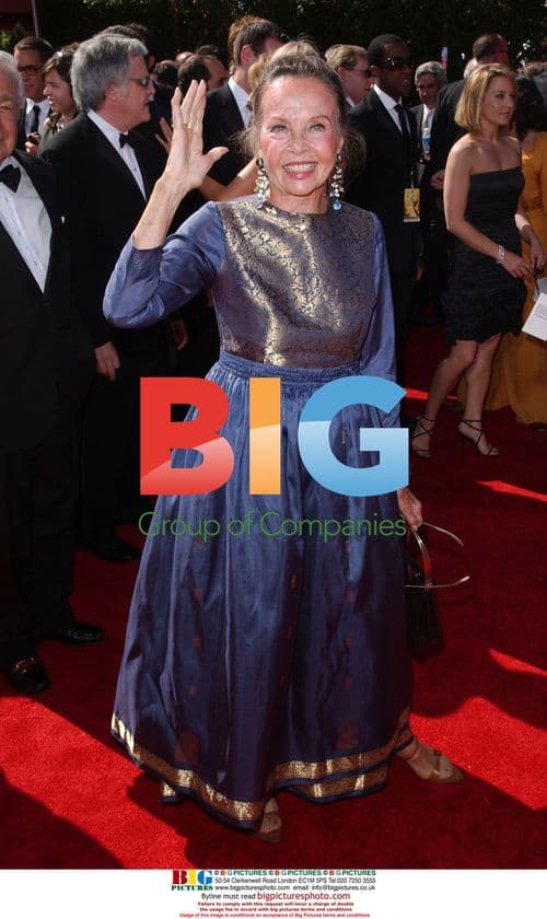 Leslie Caron at 59th Primetime Emmy Awards