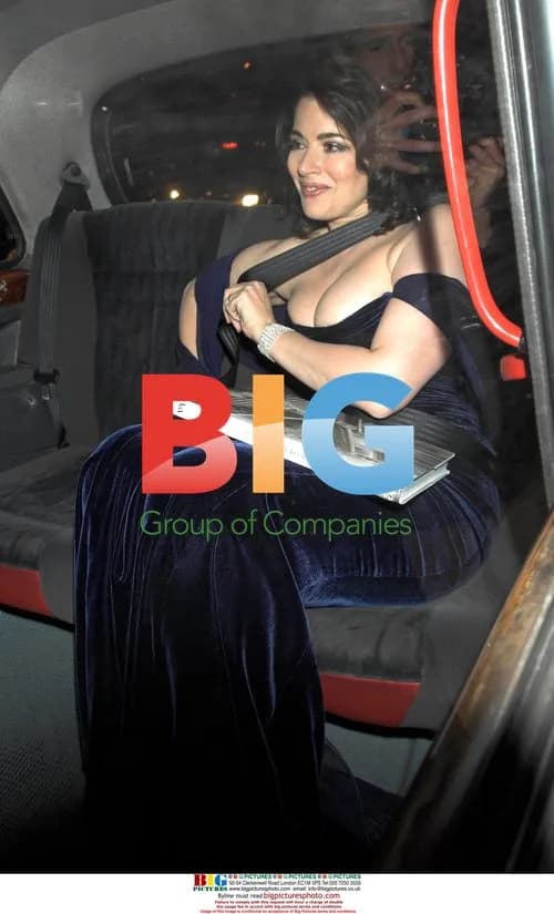 Nigella Lawson Seatbelt Struggle