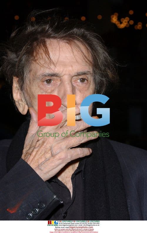 Harry Dean Stanton at Into the Wild LA Premiere