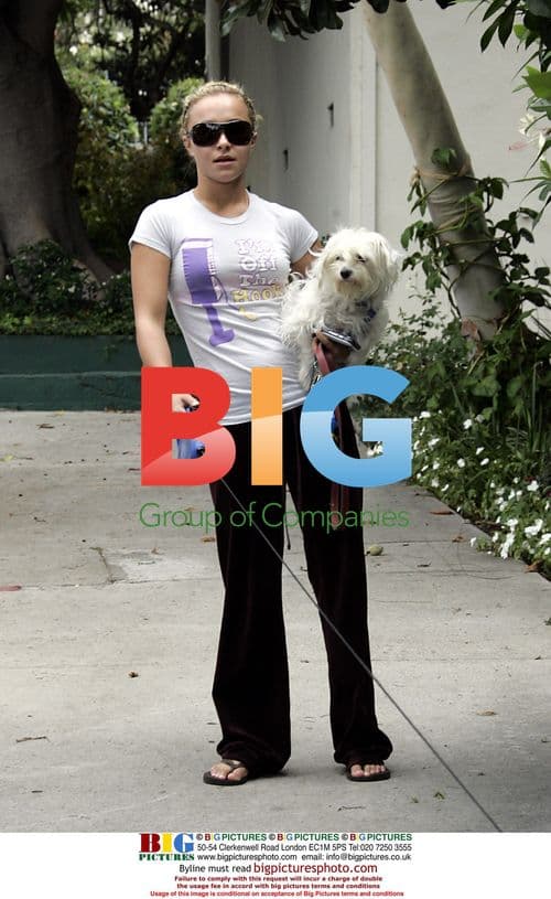 Hayden Panettiere Takes Dogs in Hollywood