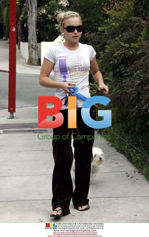 Hayden Panettiere Walking Dogs in Hollywood