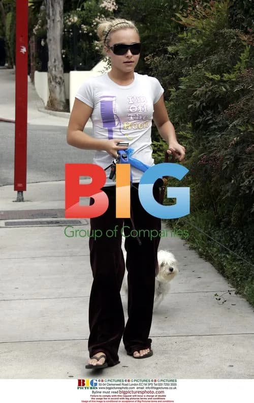 Hayden Panettiere Walking Dogs in Hollywood