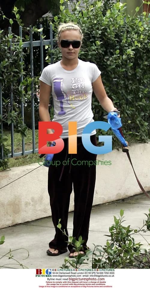 Hayden Panettiere takes dogs out in Hollywood