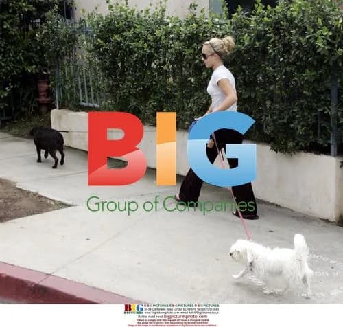 Hayden Panettiere walks dogs in Hollywood